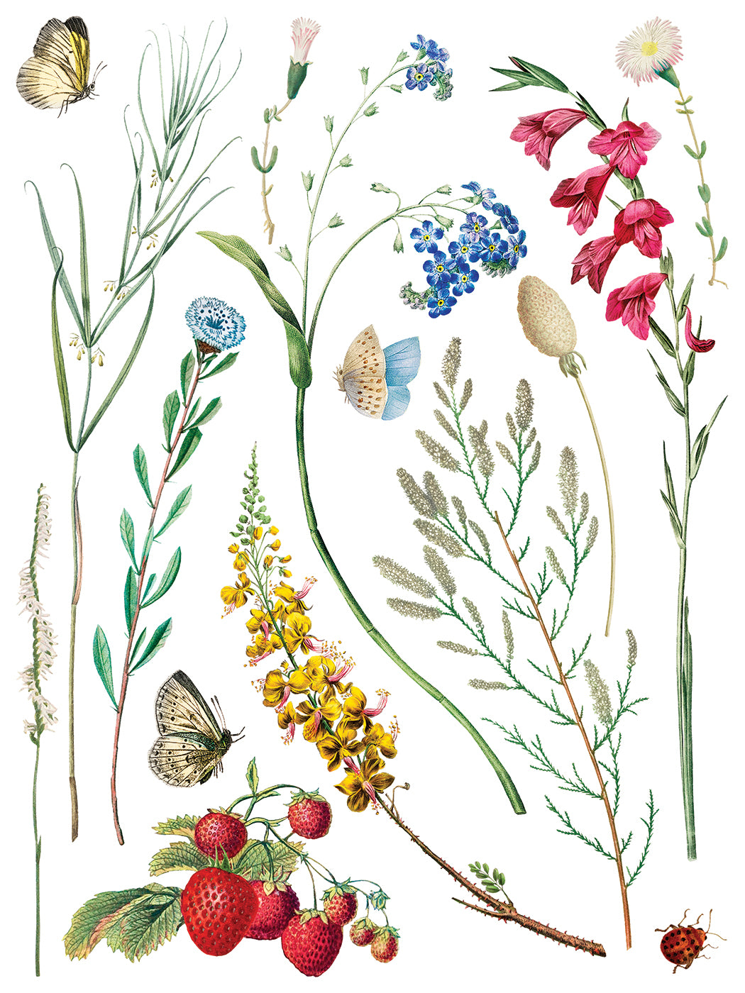 Marché des Fleurs IOD Transfer | 8 Pages | 12” x 16” |
