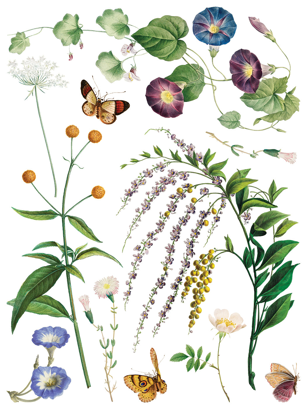 Marché des Fleurs IOD Transfer | 8 Pages | 12” x 16” |