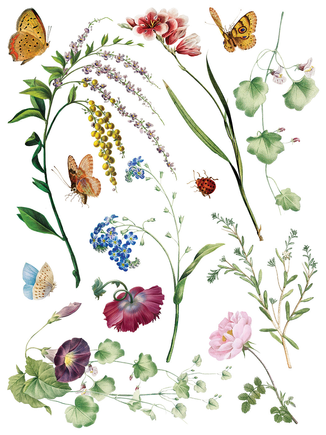 Marché des Fleurs IOD Transfer | 8 Pages | 12” x 16” |