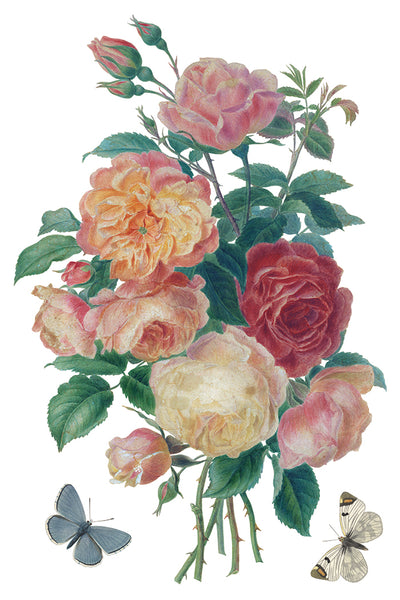 Saint Ouen IOD Transfer 8x12 Pad™