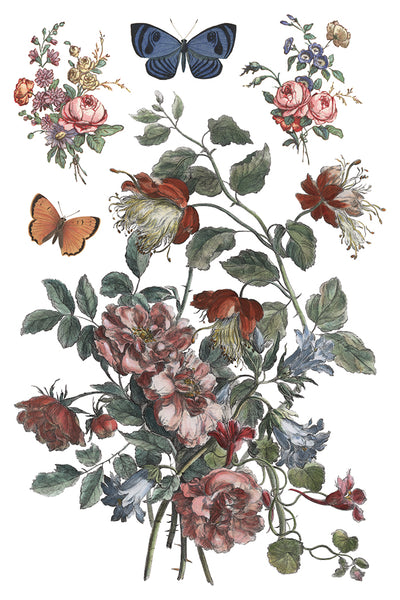 Saint Ouen IOD Transfer 8x12 Pad™