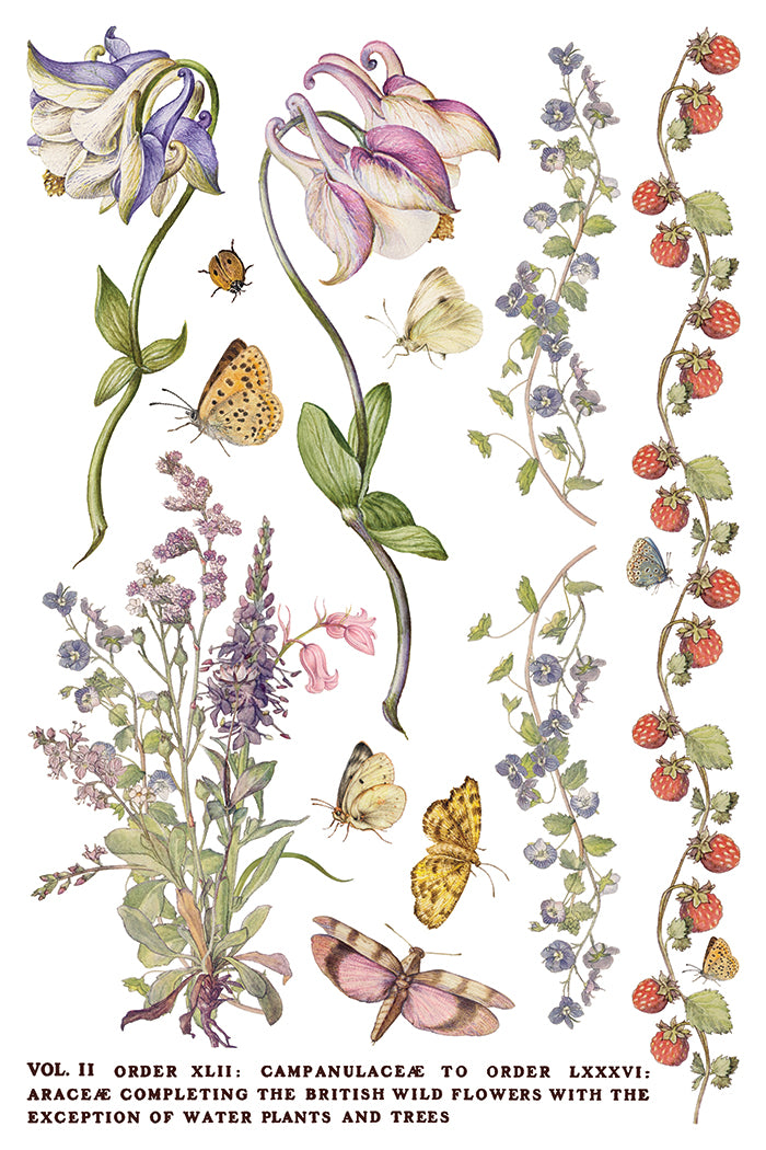 Primrose Isle IOD Transfer | 8 Pages | 8” x 12” |