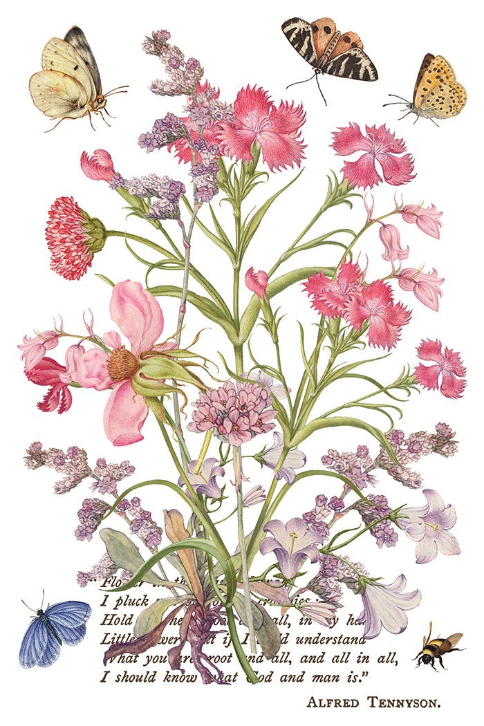Primrose Isle IOD Transfer | 8 Pages | 8” x 12” |