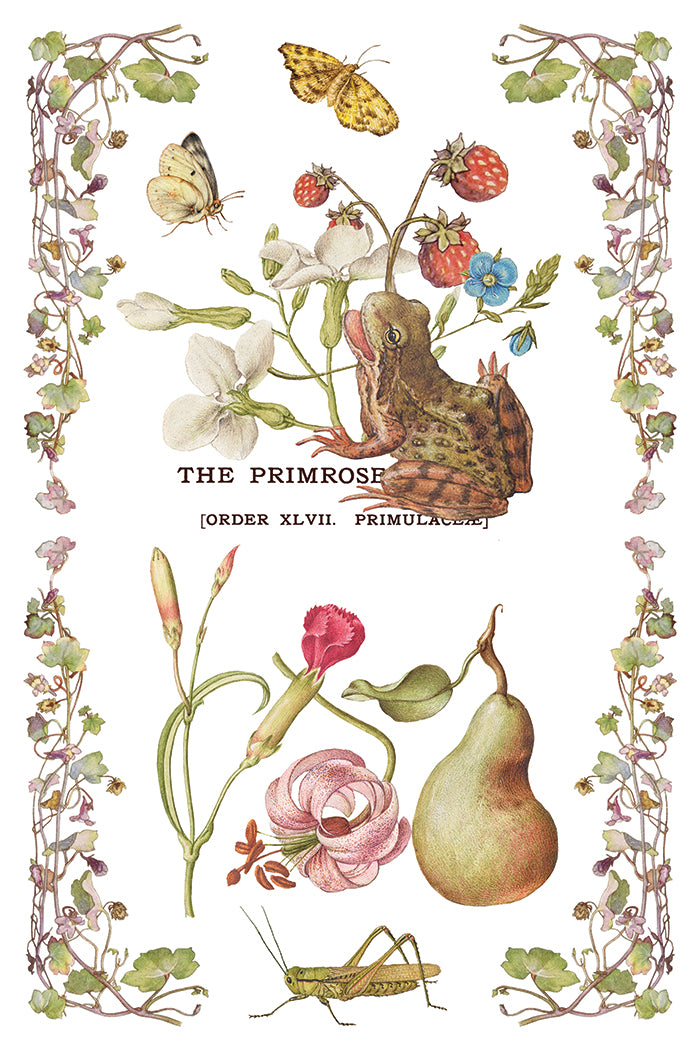 Primrose Isle IOD Transfer | 8 Pages | 8” x 12” |