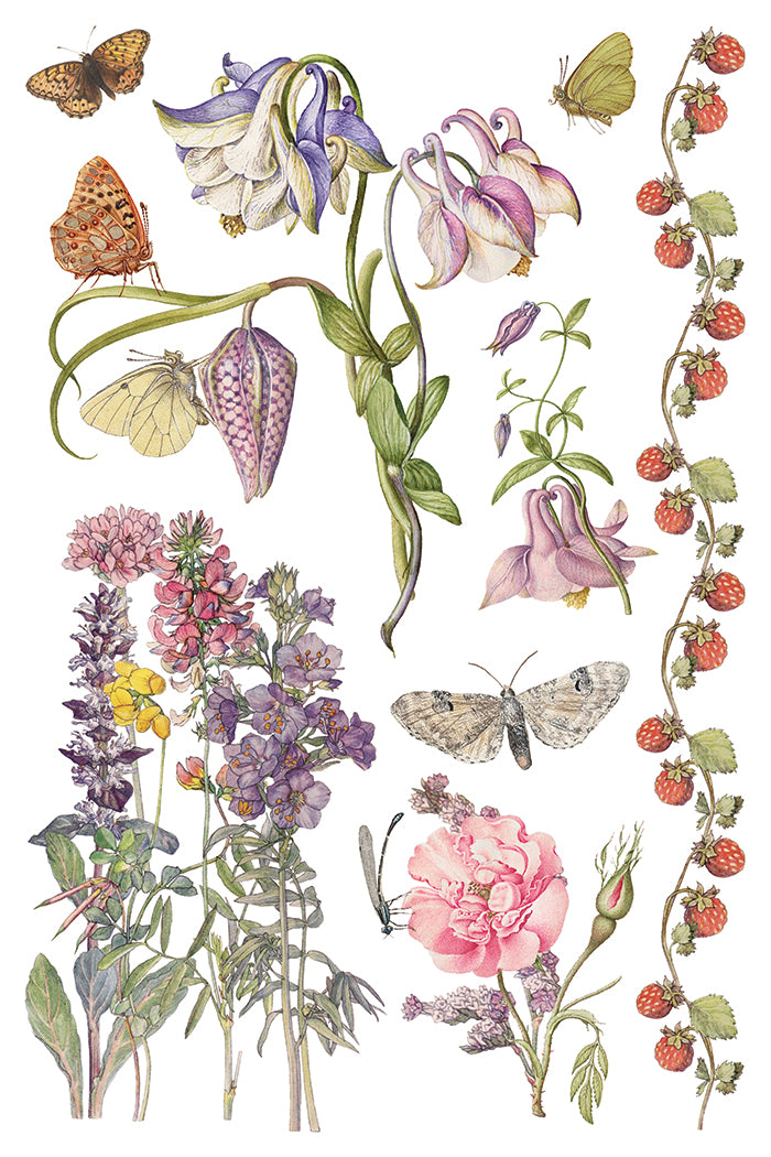 Primrose Isle IOD Transfer | 8 Pages | 8” x 12” |