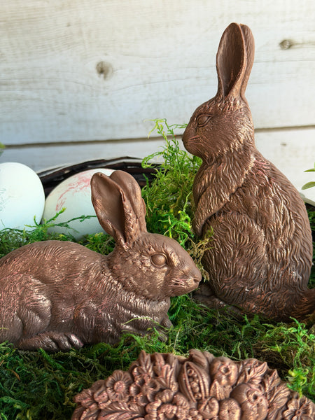 Les Lapins 6x10 IOD Mould™