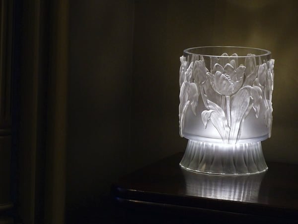 Tulips 6x10 IOD Mould™