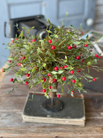 Blaze Berry Half Sphere | 10" | Red
