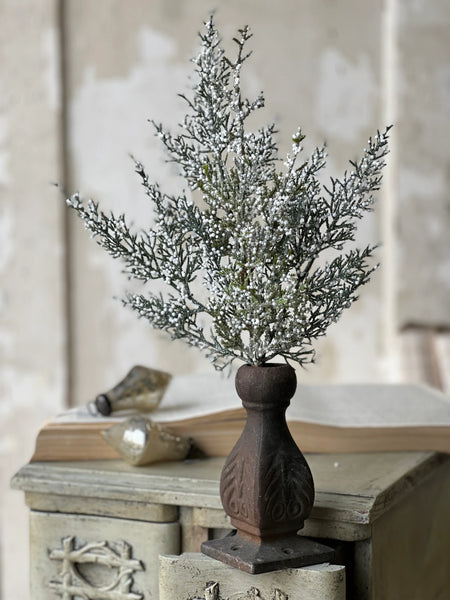 Constellation Juniper Pick | 16"