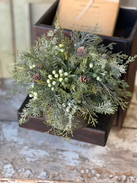 Siberian Cypress Half Sphere | 12" |