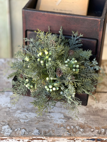 Siberian Cypress Half Sphere | 12" |