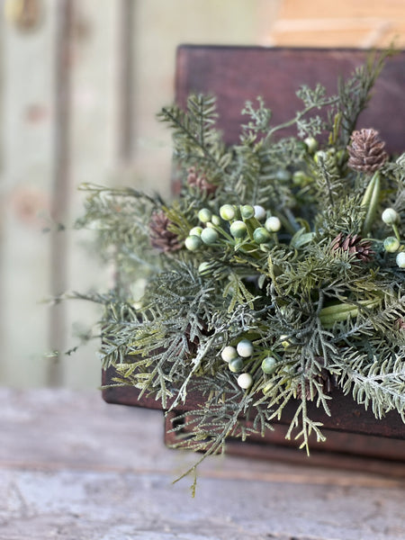 Siberian Cypress Half Sphere | 12" |