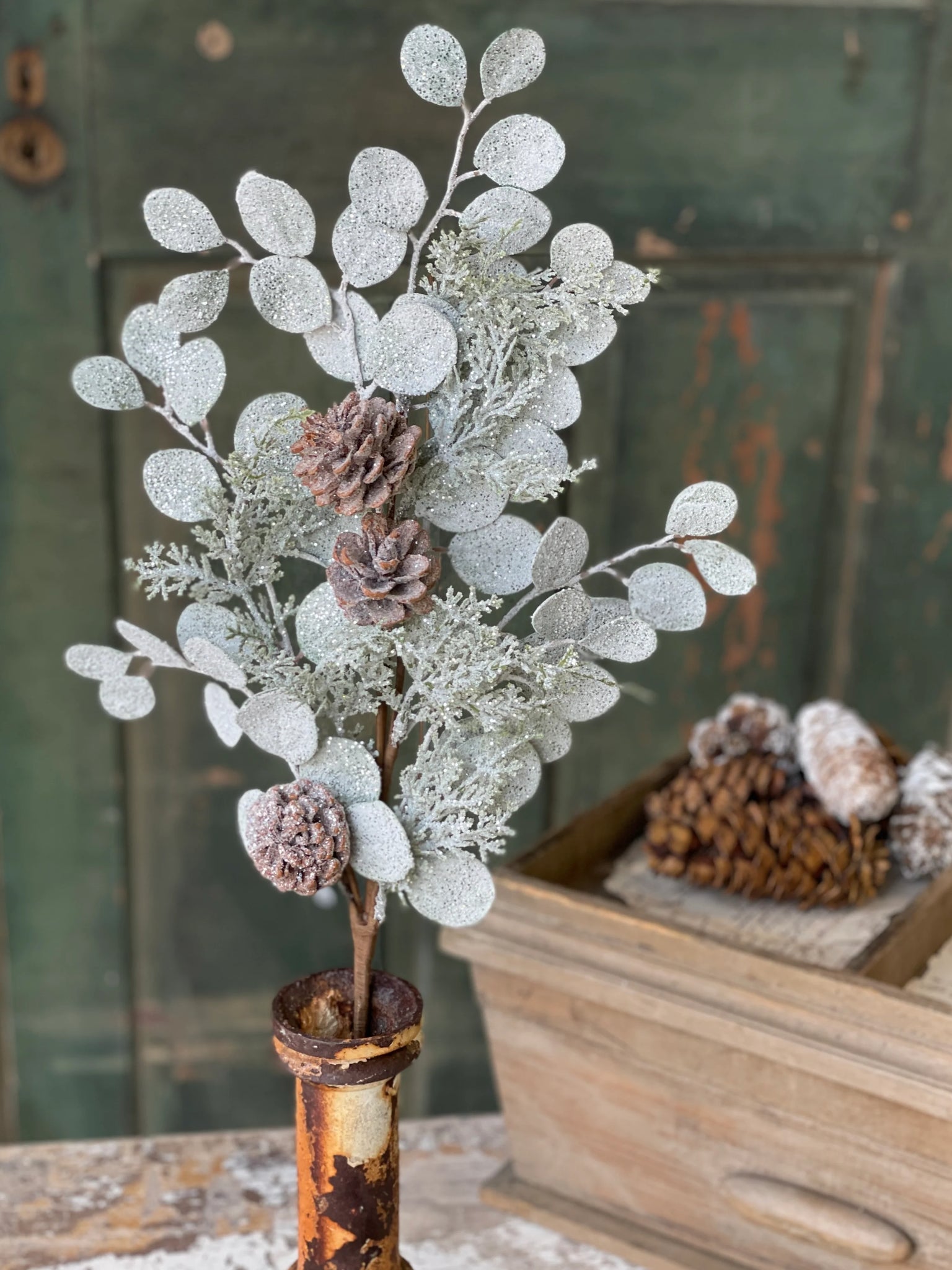 Silverdollar Shine Spray | 27"