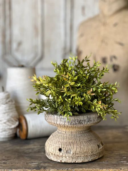 Lemon Beauty Half Sphere | Green | 8" |