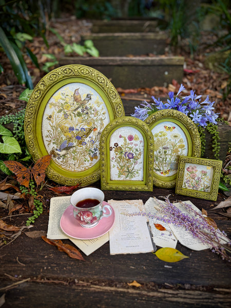 Flora Greca IOD Transfer 8x12 Pad™