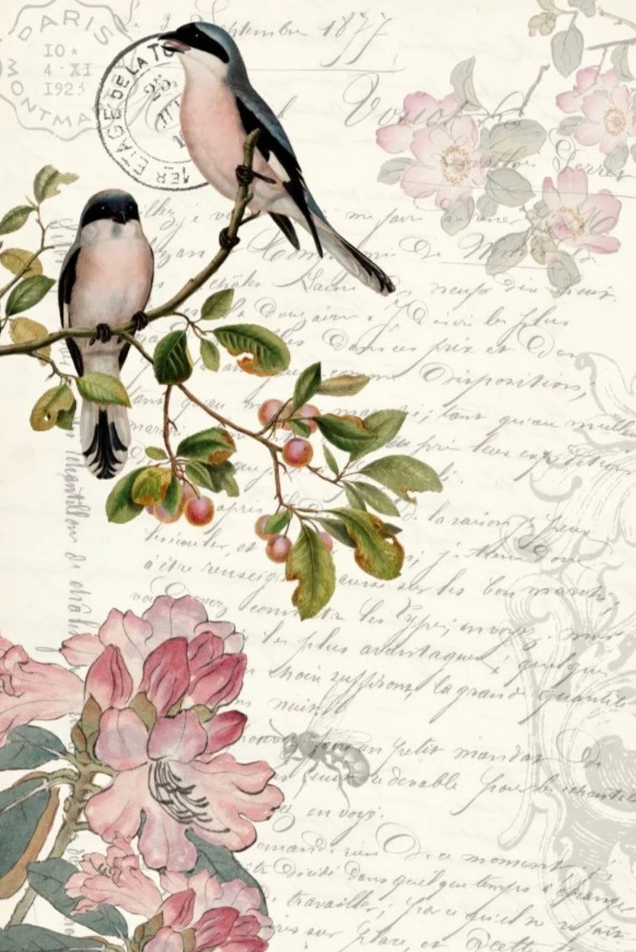 Roycycled Spring Bird Decoupage Paper