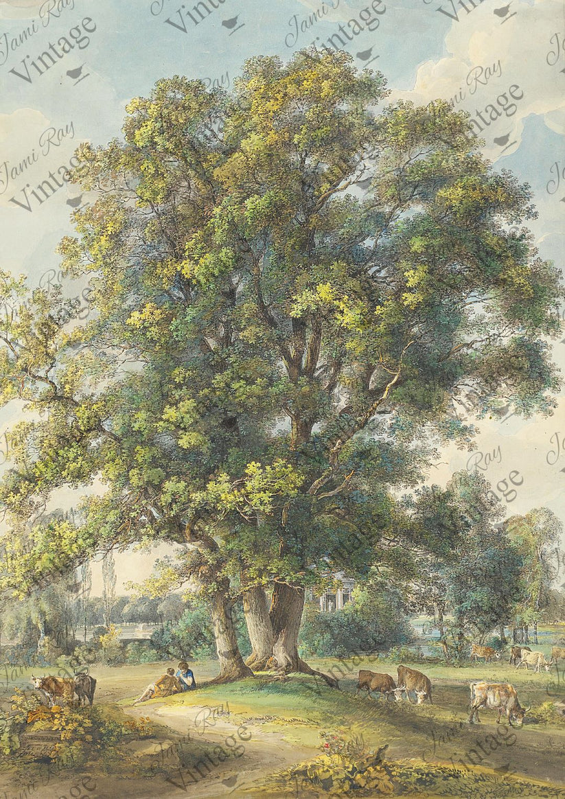 Cows Under A Tree| NEW JRV Rice Decoupage Paper |