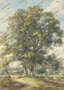 Cows Under A Tree| NEW JRV Rice Decoupage Paper |