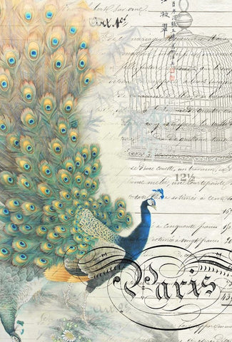 Roycycled Peacock Ephemera Left Decoupage Paper
