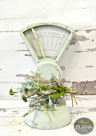 Sweetwater | Sweet Pickins Milk Paint