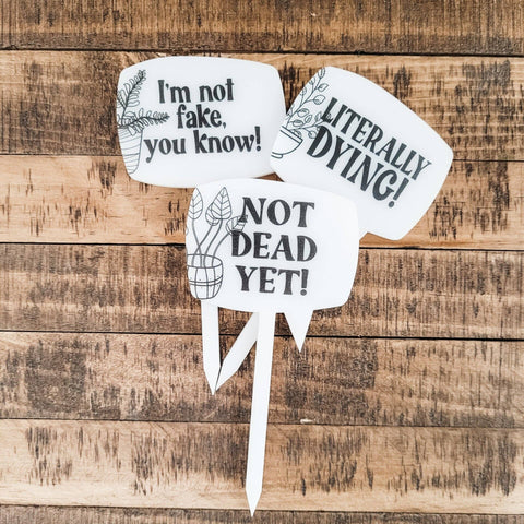 Plant Stakes