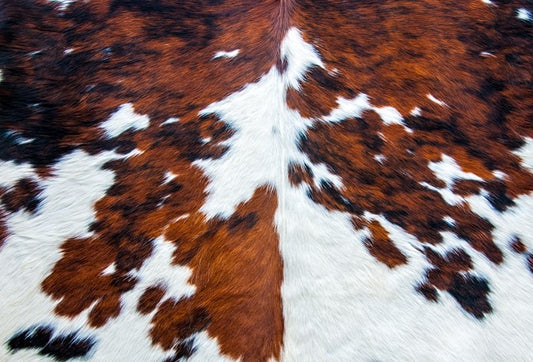 Roycycled Cowhide Decoupage Paper