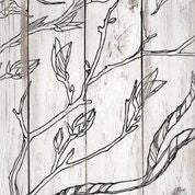 Branches and Vines