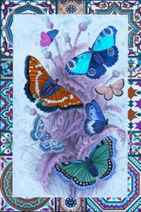Papillon