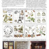Brocante IOD Transfer 12x16 Pad