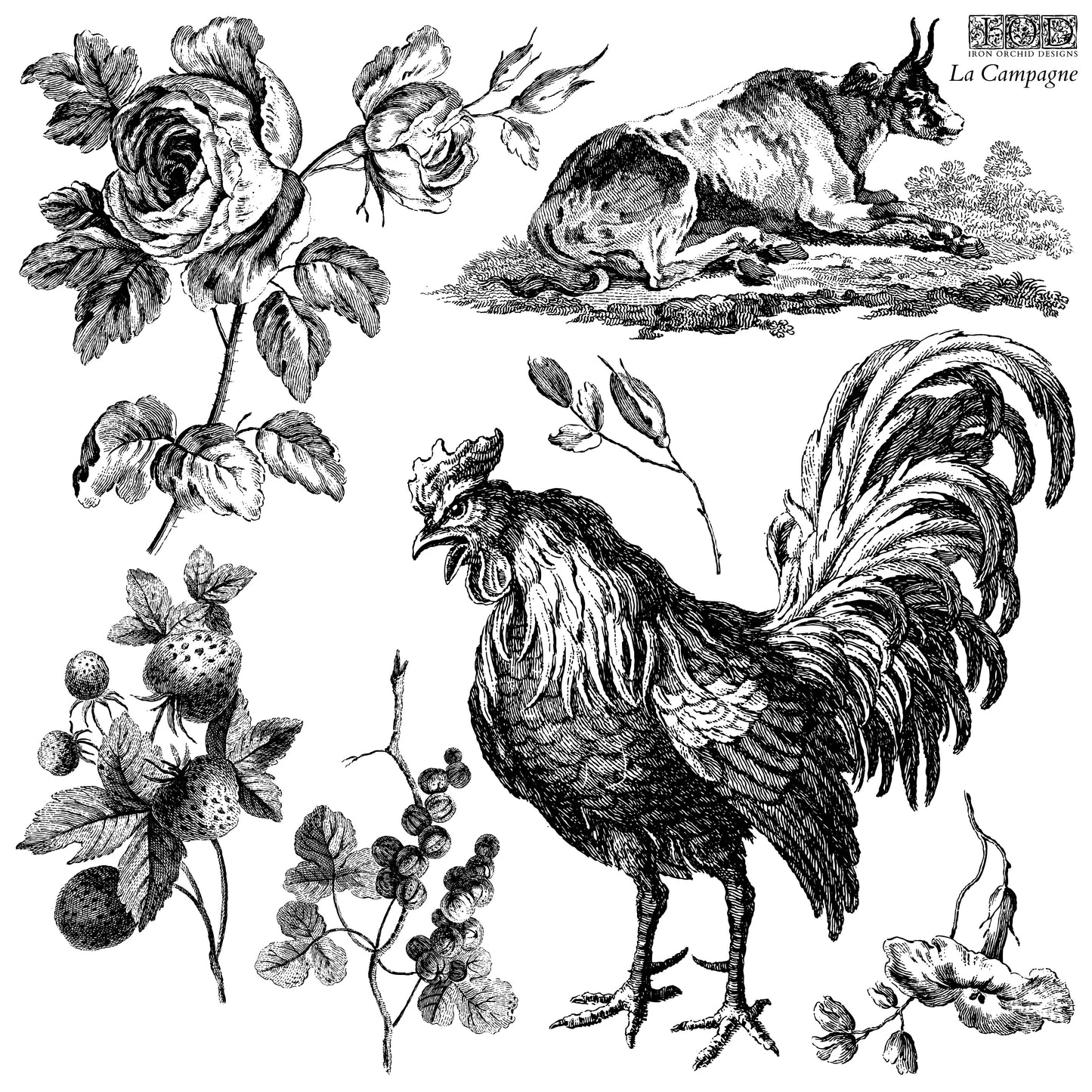 LA CAMPAGNE 12×12 IOD STAMP™