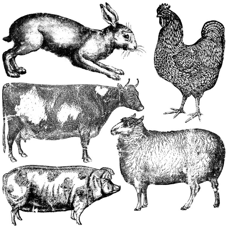 FARM ANIMALS 12×12 DECOR STAMP™