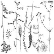 Sprigs Stamp