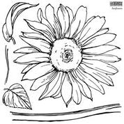 Sunflower Stamp
