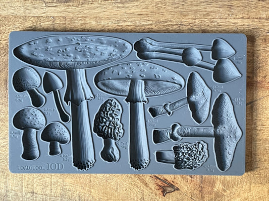 TOADSTOOL 6X10 IOD MOULD™