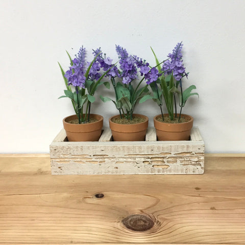 Small plant holder